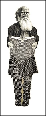 Aylak Adam Hobi - Tolstoy Kitap Ayraç