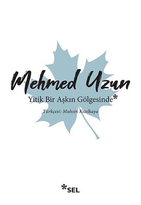 Yitik Bir Aşkın Gölgesinde Mehmed Uzun