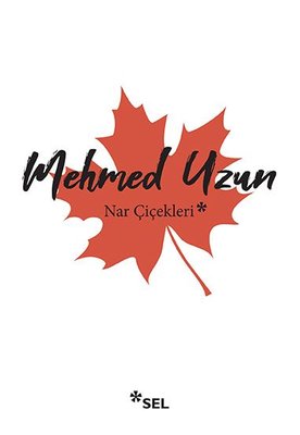 Nar Çiçekleri Mehmed Uzun