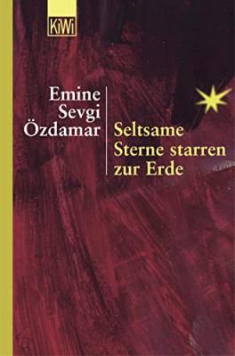 Seltsame Sterne starren zur Erde Emine Sevgi Özdamar